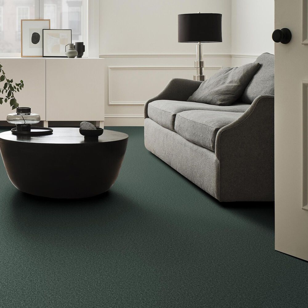 Shaw Tonal Comfort I Carpet in Bold Moves, , large