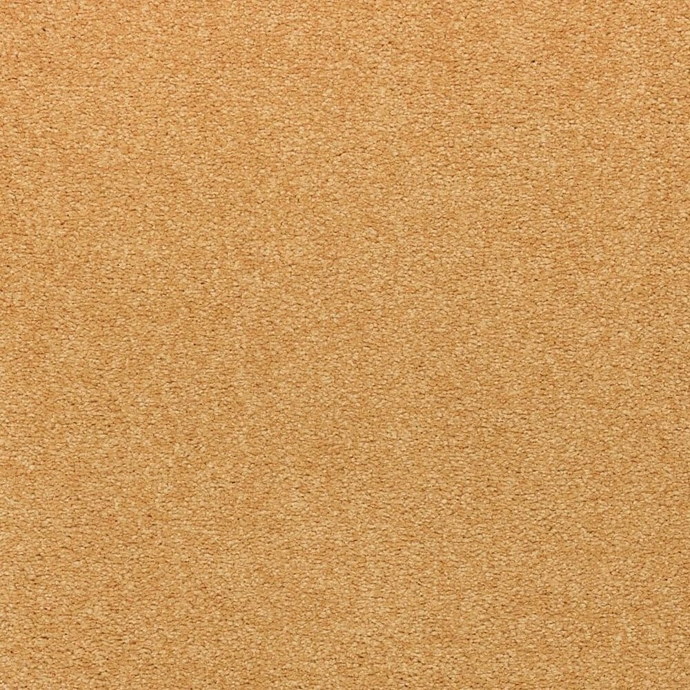 Karastan Tropical Vision Carpet in Tuscany, , large