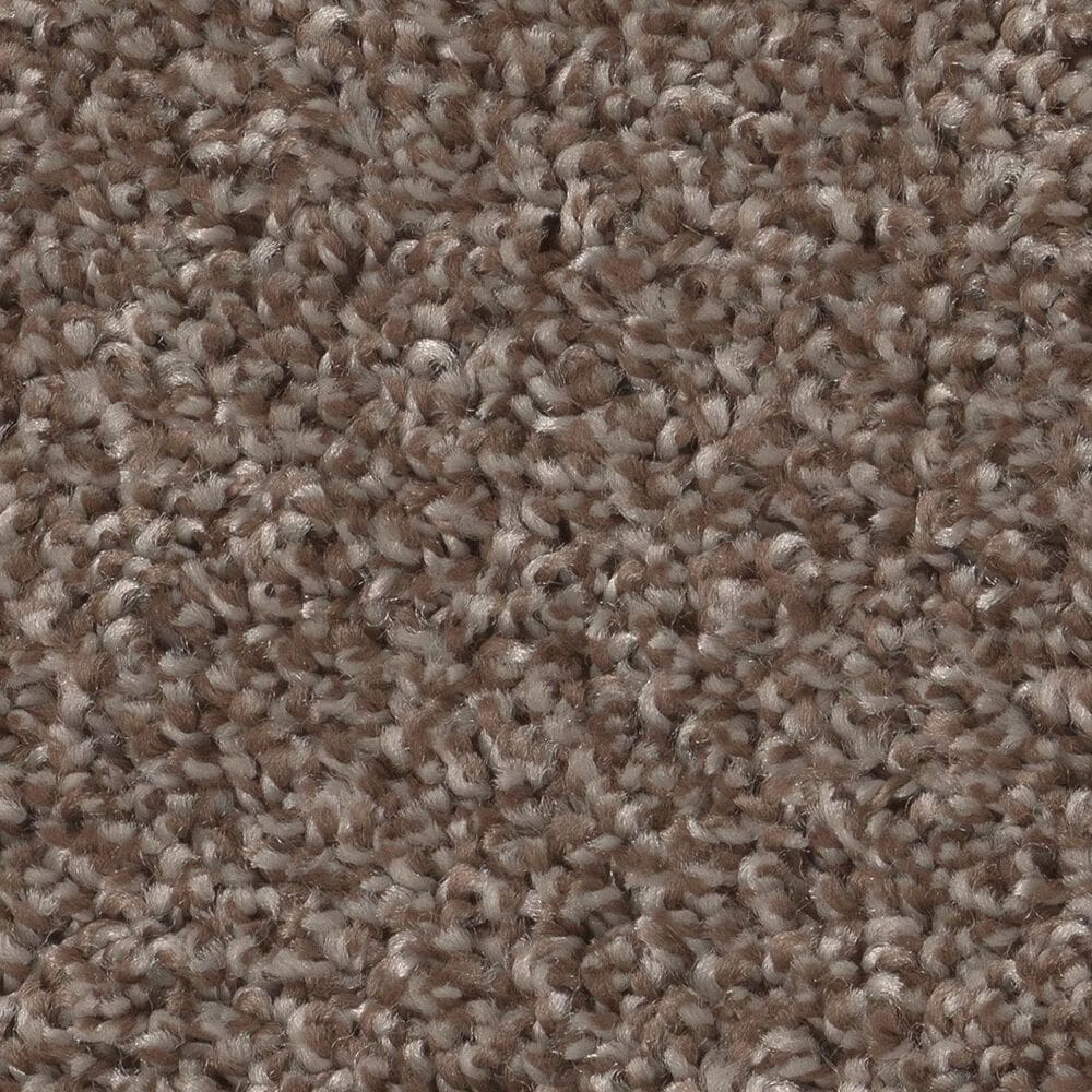 Shaw Agility Carpet in Roasted Coffee, , large