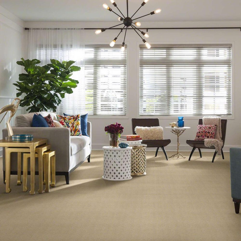 Philadelphia Alluring Disposition Carpet in Shoreline, , large