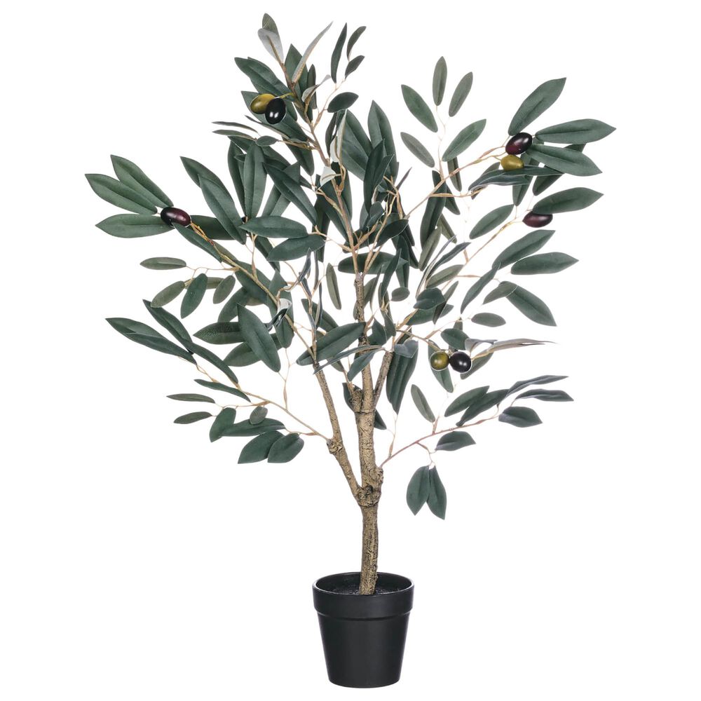 Sullivan 25" Potted Olive Tree with Black Pot in Green, , large