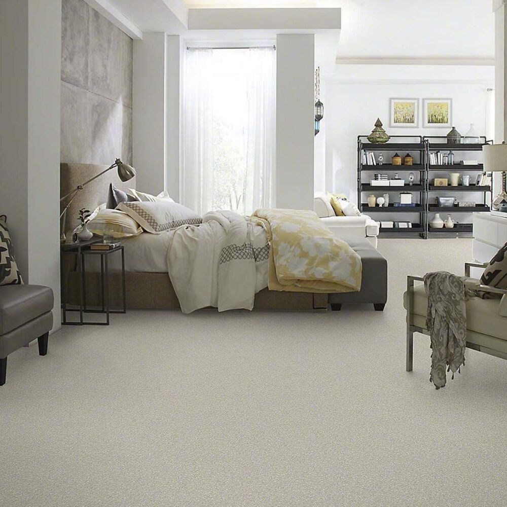 Anderson Tuftex Barracan Classic I Carpet in Sterling, , large