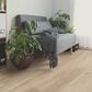 COREtec Originals Premium Blended Cocoon 7" x 48" Luxury Vinyl Plank, , large