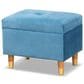 Baxton Studio Elias Storage Ottoman in Sky Blue, , large