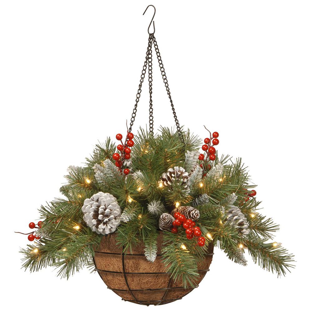 National Tree 20" Frosted Berry Hanging Basket with Battery Operated Warm White LED Lights, , large