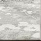 Safavieh Adirondack ADR114B-24 2"6" x 4" Silver/Ivory Area Rug, , large