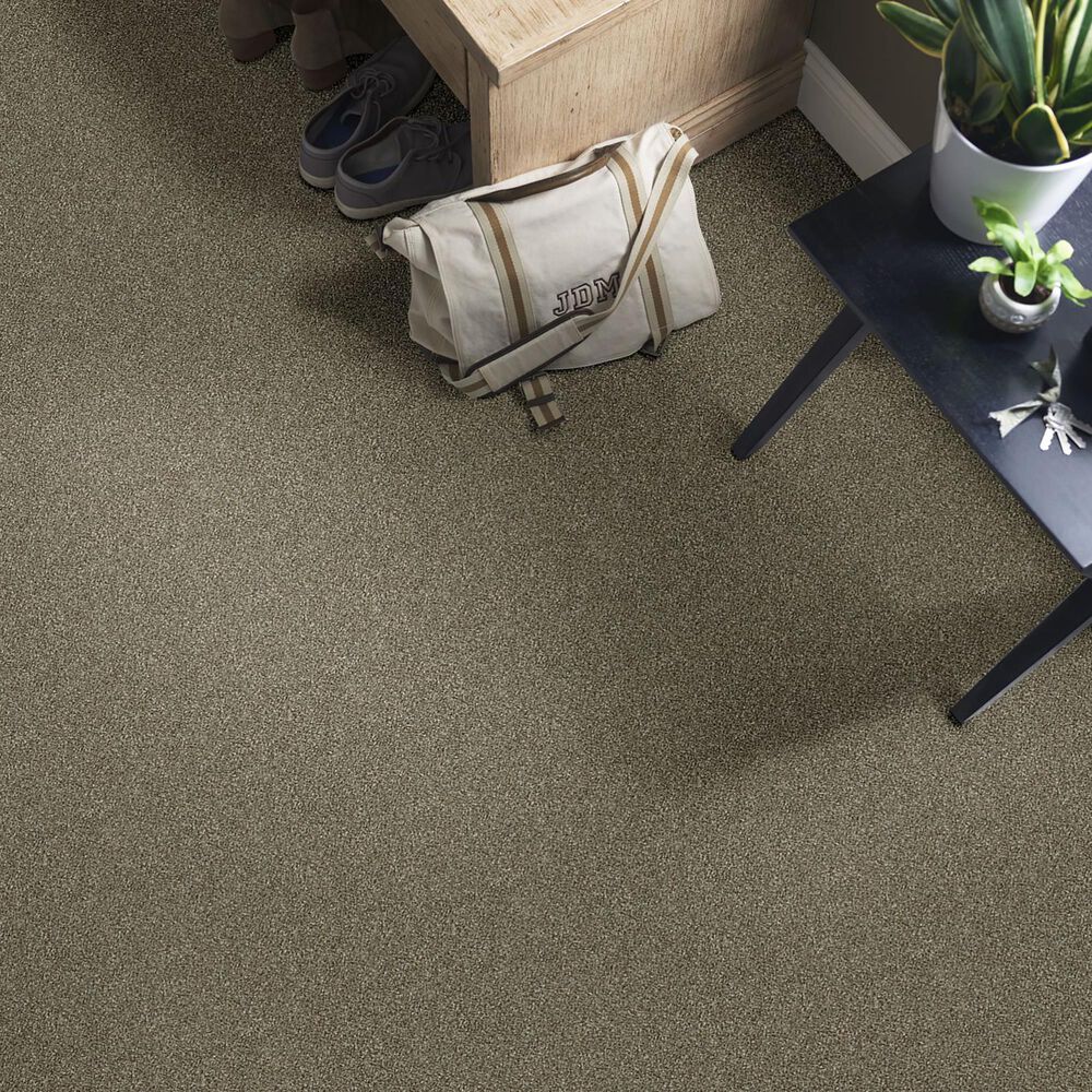 Shaw Simply the Best Attainable Carpet in Fox Hollow, , large