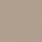 Shaw Imaginable I Carpet in Latte, , large
