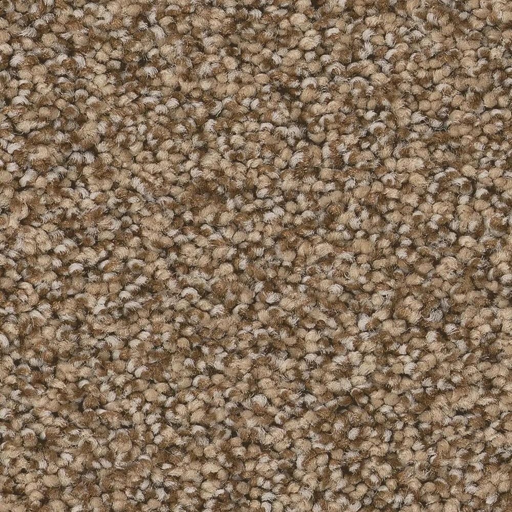 Anderson Tuftex Wyndham Estate Carpet in Toffee, , large