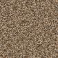 Anderson Tuftex Wyndham Estate Carpet in Toffee, , large