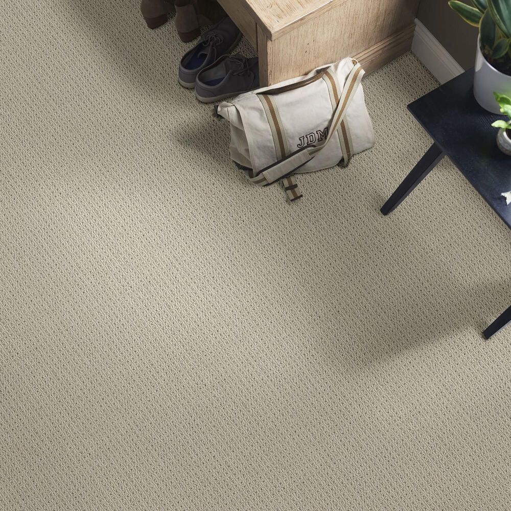 Anderson Tuftex Cabo Cove Carpet in Pavestone, , large