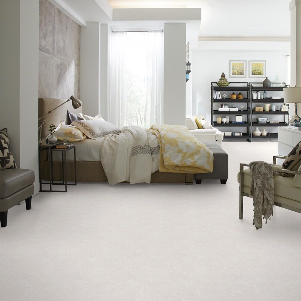 Shaw Foundations Take The Floor Texture II Carpet in Dove, , large