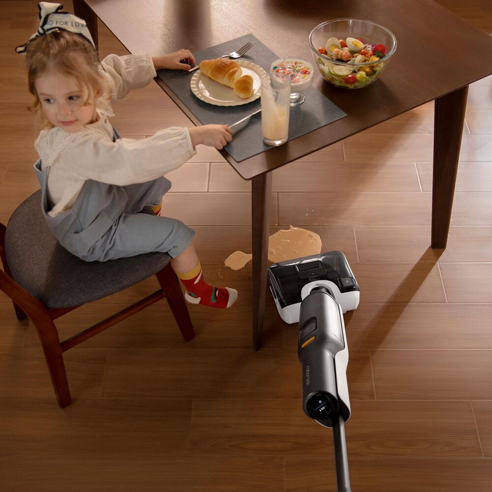 Roborock F25 Wet and Dry Vacuum Cleaner in Black, , large