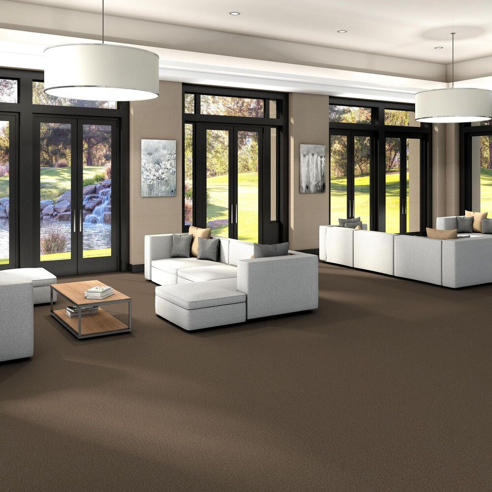 Shaw You Got This III Carpet in Mission Ridge, , large