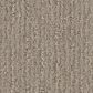 Shaw Cedar City Carpet in Park Avenue, , large