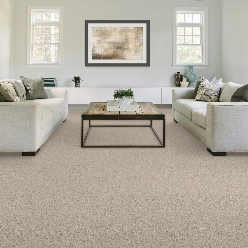 Mohawk Paw Pathway Carpet in Breeze, , large