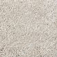 Shaw Foundations Take The Floor Texture II Carpet in Neutral Ground, , large