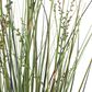 Maple and Jade 60" Indoor/Outdoor Tall Artificial Onion Grass with Black Plastic Pot in Green, , large