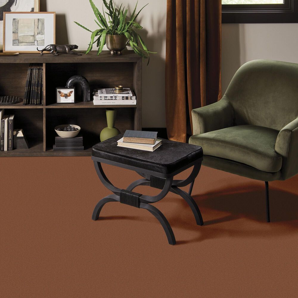 Anderson Tuftex Finery Carpet in Copper, , large