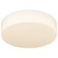 Golden Lighting Toli 1-Light Flush Mount in Matte Black, , large