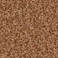 Shaw Tonal Comfort Blue Carpet in Sunrise, , large