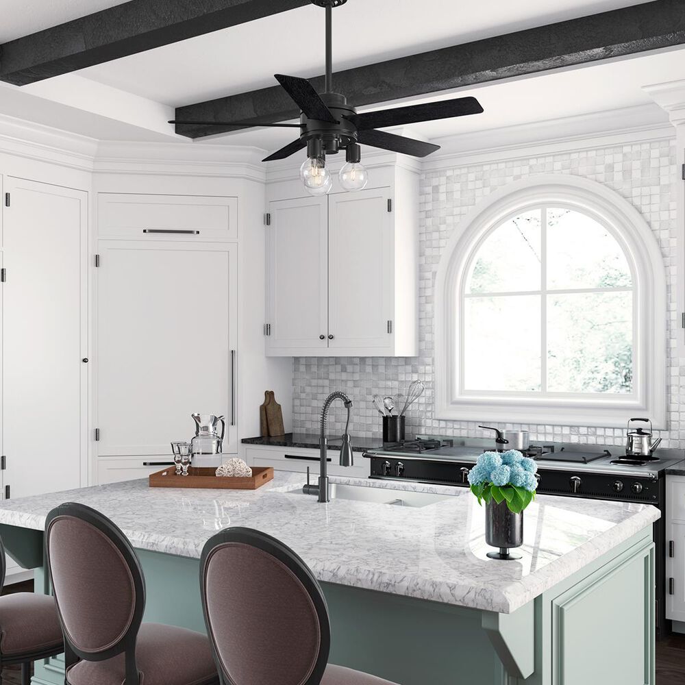 Hunter Hardwick 52&quot; Indoor Ceiling Fan in Matte Black, , large