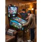 Wonderland Amusements Alice Goes to Wonderland Pinball Machine in Black, , large