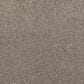 Mohawk Luxuriant Life Carpet in Thin Ice, , large
