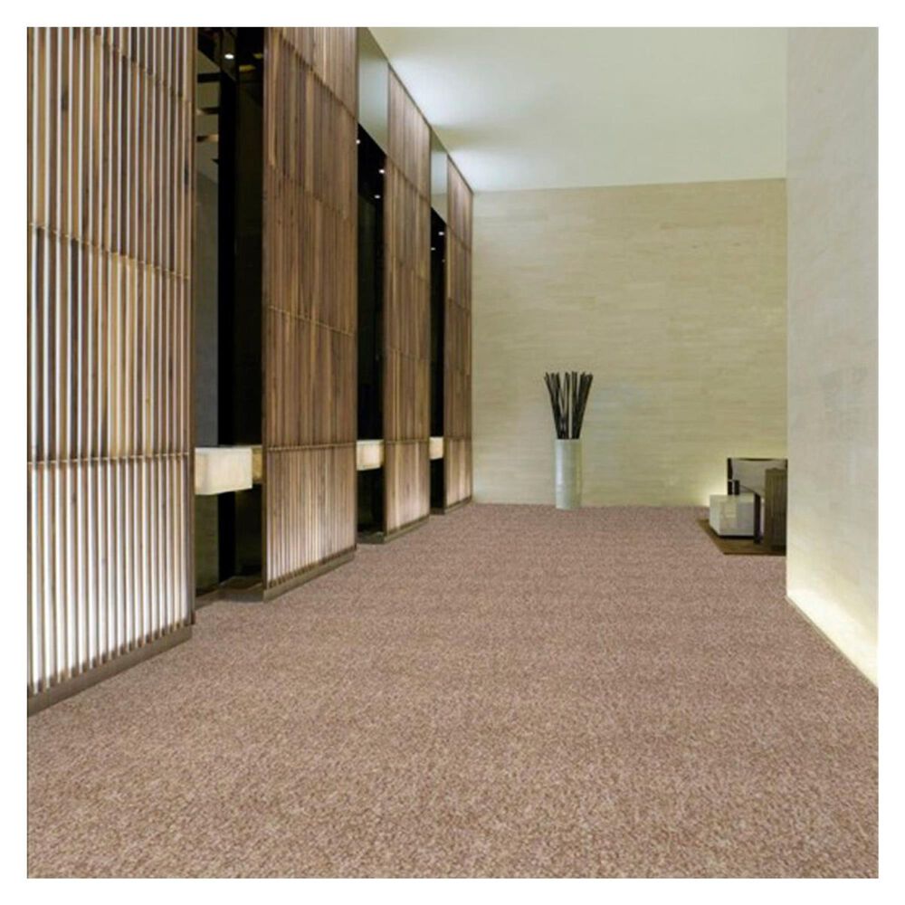 Shaw Sound Advice 24&quot; x 24&quot; Carpet Tile in Encourage, , large
