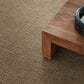 Anderson Tuftex Diego Carpet in Bay Shore, , large