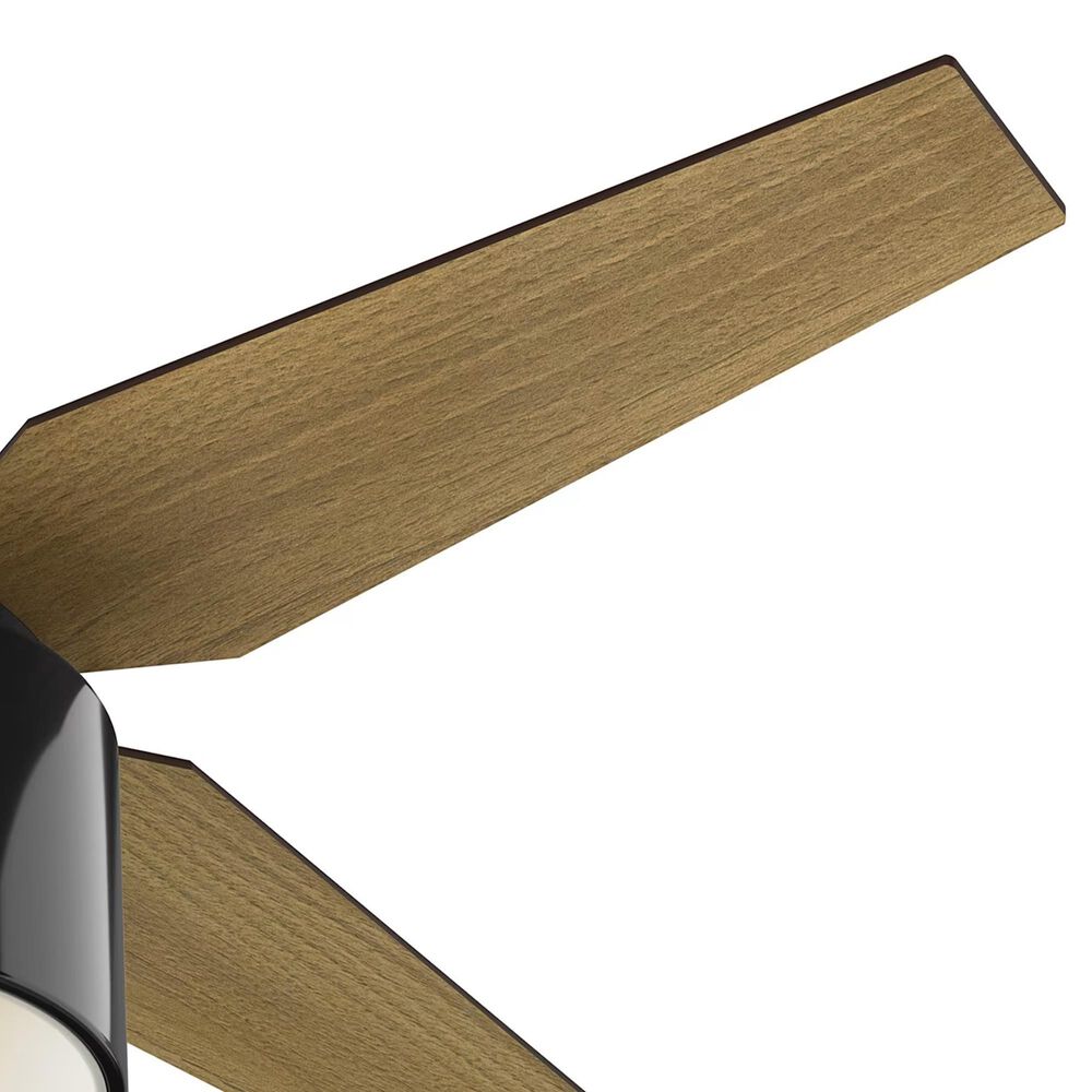Hunter Cranbrook Low Profile 52&quot; Ceiling Fan with Light in Gloss Black, , large