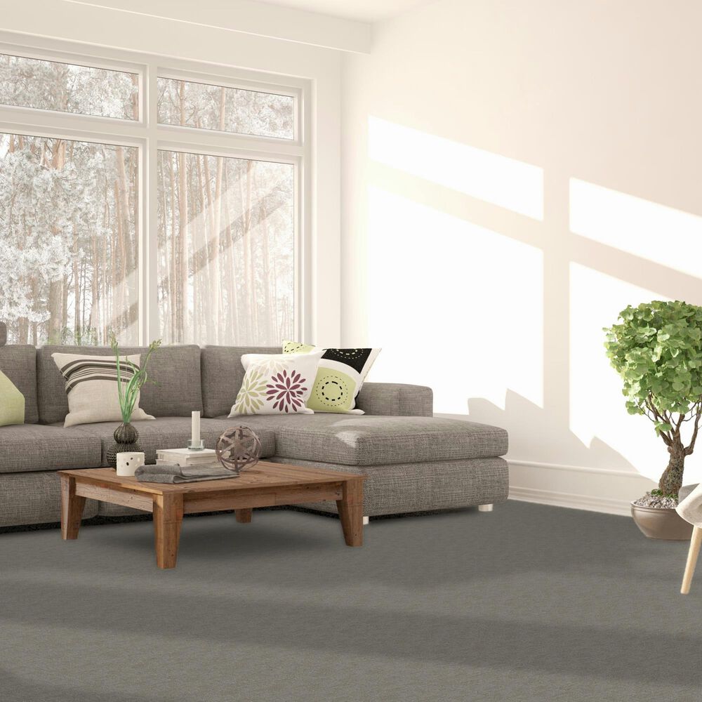 Dream Weaver Classic Elements Carpet in Amazon, , large