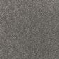 Mohawk Luxuriant Life Carpet in Pavement, , large