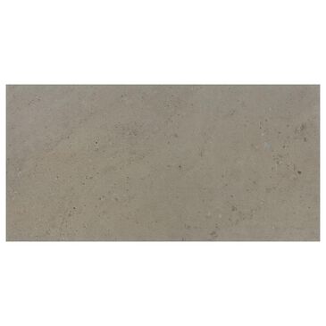 Dal-Tile Sand and Stone Dune Rectangle Sand 12" x 24" Porcelain Tile, , large
