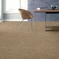 Anderson Tuftex Caress  Artistic Presence Carpet in Natural Beauty, , large