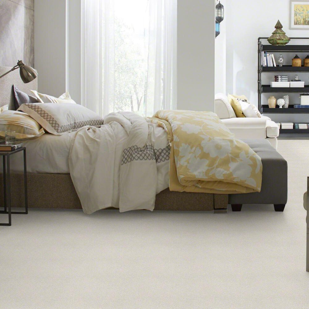 Philadelphia Basic Rules Carpet in Dew, , large