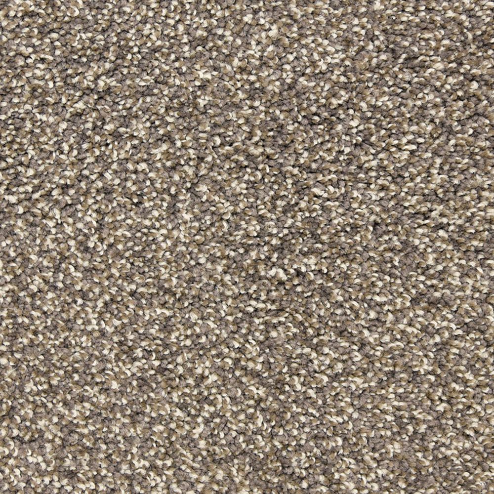 Dixie Home Natural Beauty Carpet in Quarry, , large