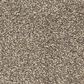 Dixie Home Natural Beauty Carpet in Quarry, , large