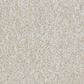 Masland San Juan Carpet in Abiding Beige, , large