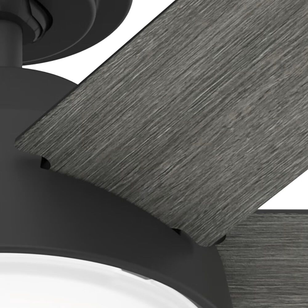 Hunter Donatella 52&quot; Ceiling Fan with LED Lights in Matte Black, , large