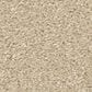 Shaw Way To Go II Carpet in Warm Breeze, , large