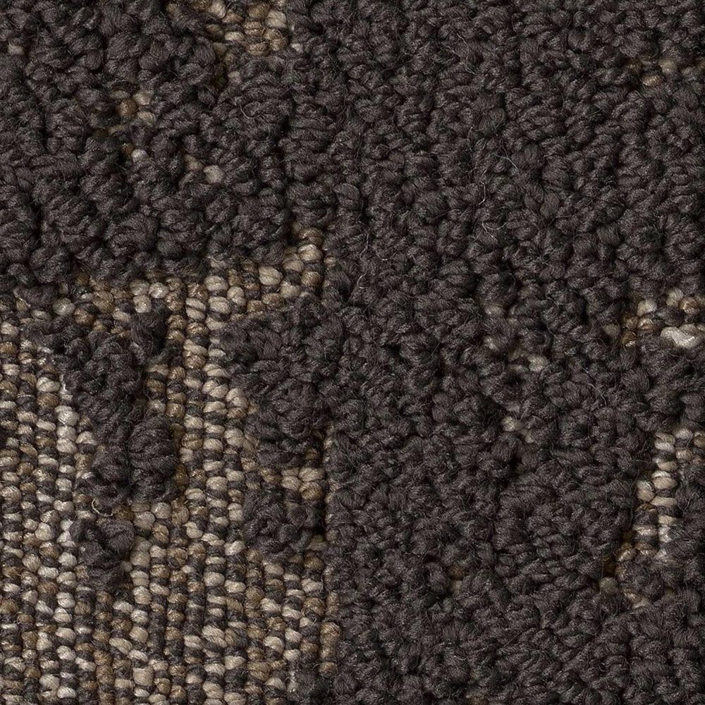 Anderson Tuftex Discover Carpet in Dark Roast, , large