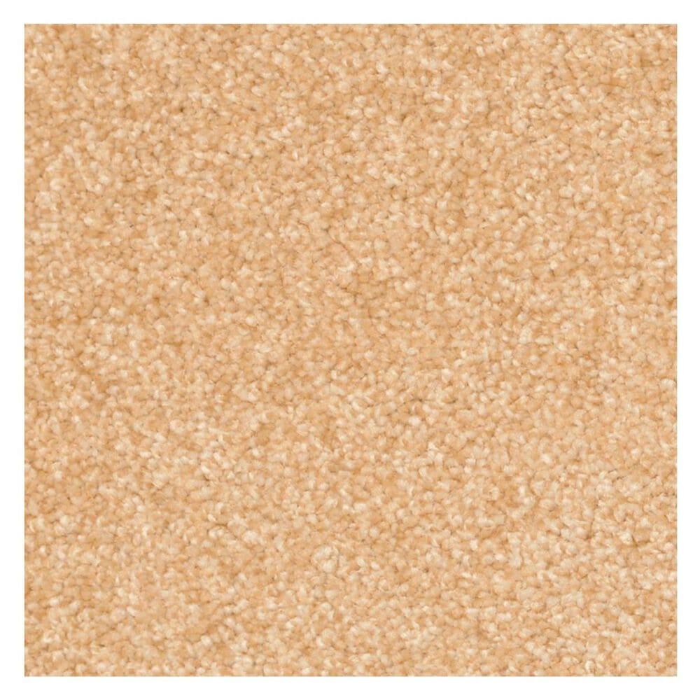 Dixie Home Paula Carpet in Basketry, , large