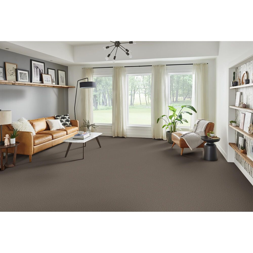 Phenix Palermo Carpet in Traditional, , large