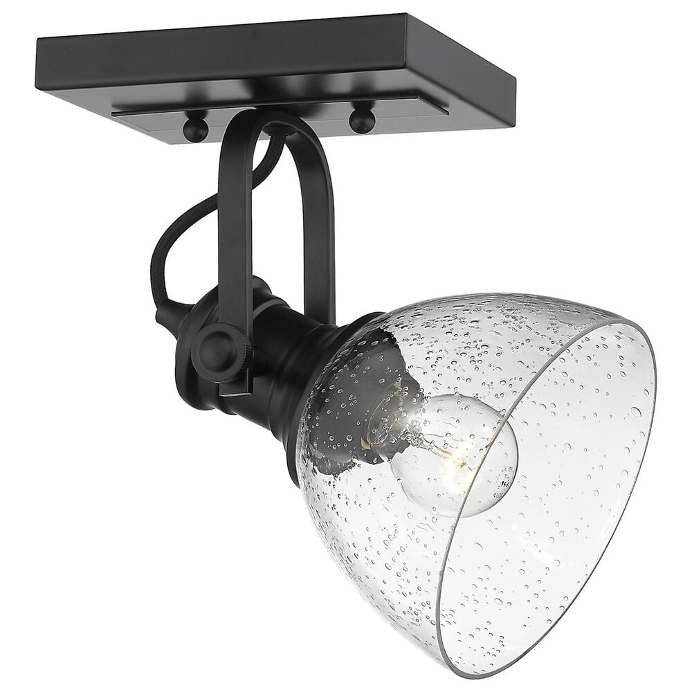 Golden Lighting Hines 1-Light Semi-Flush in with Clear Glass Matte Black, , large