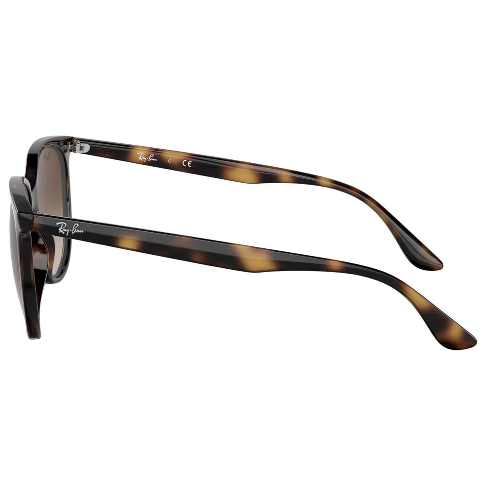 Rayban Glasses Sunglasses with Gradient Brown Lenses in Polished Havana, , large