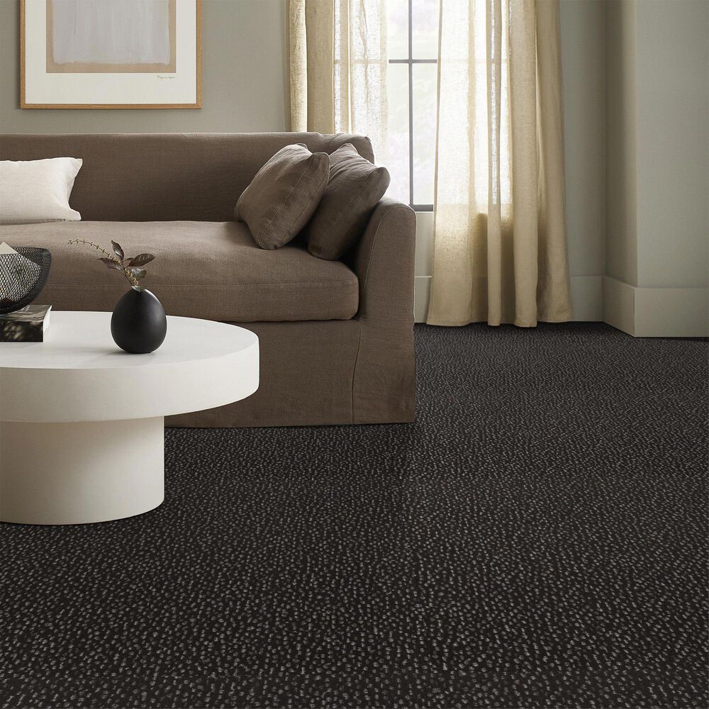 Anderson Tuftex Ambitious Carpet in Charcoals, , large