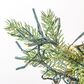 The Gerson Company 6.5" Monaco Pine Artificial Christmas Tree with Warm White LED Lights in Green, , large