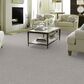 Shaw Just Right I Carpet in Clay, , large