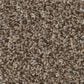 Shaw Renewed Energy II Carpet in Freckles, , large